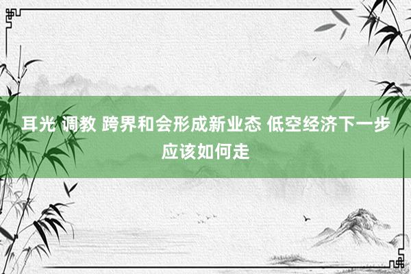 耳光 调教 跨界和会形成新业态 低空经济下一步应该如何走