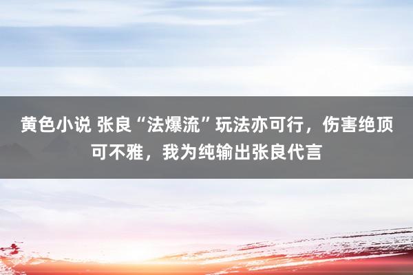 黄色小说 张良“法爆流”玩法亦可行，伤害绝顶可不雅，我为纯输出张良代言