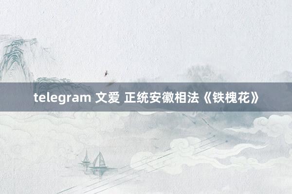 telegram 文爱 正统安徽相法《铁槐花》