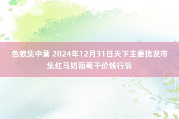 色狼集中营 2024年12月31日天下主要批发市集红马奶葡萄干价钱行情