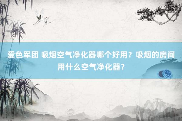 爱色军团 吸烟空气净化器哪个好用？吸烟的房间用什么空气净化器？