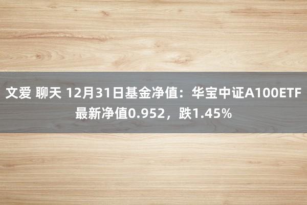 文爱 聊天 12月31日基金净值：华宝中证A100ETF最新净值0.952，跌1.45%