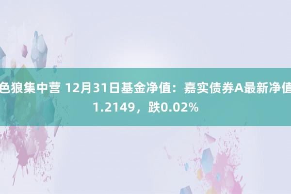 色狼集中营 12月31日基金净值：嘉实债券A最新净值1.2149，跌0.02%