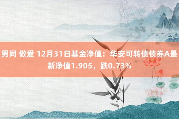 男同 做爱 12月31日基金净值：华安可转债债券A最新净值1.905，跌0.73%