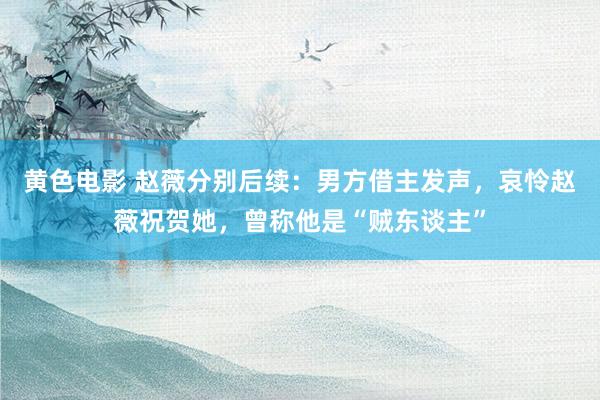 黄色电影 赵薇分别后续：男方借主发声，哀怜赵薇祝贺她，曾称他是“贼东谈主”