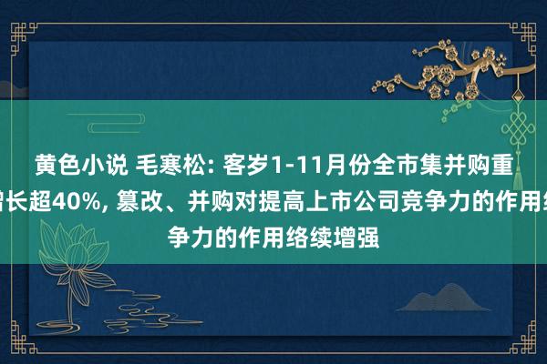 黄色小说 毛寒松: 客岁1-11月份全市集并购重组同比增长超40%， 篡改、并购对提高上市公司竞争力的作用络续增强