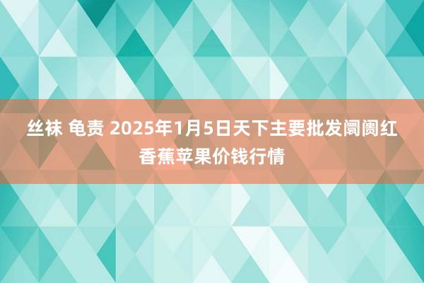 丝袜 龟责 2025年1月5日天下主要批发阛阓红香蕉苹果价钱行情