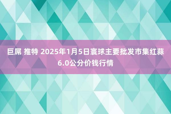 巨屌 推特 2025年1月5日寰球主要批发市集红蒜6.0公分价钱行情