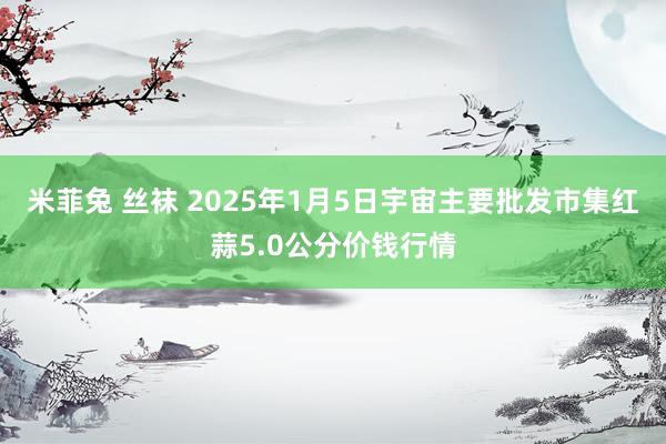 米菲兔 丝袜 2025年1月5日宇宙主要批发市集红蒜5.0公分价钱行情