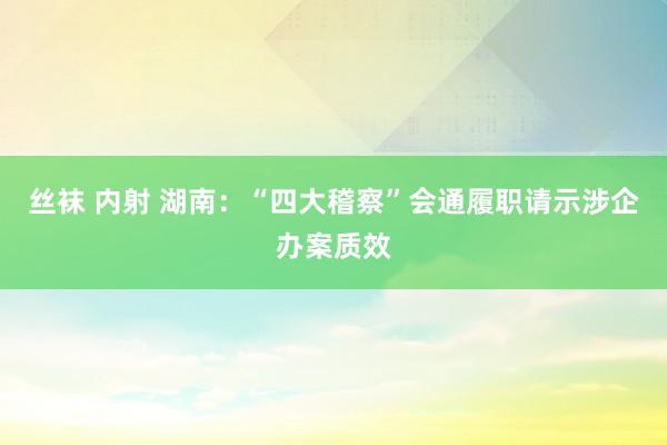 丝袜 内射 湖南：“四大稽察”会通履职请示涉企办案质效