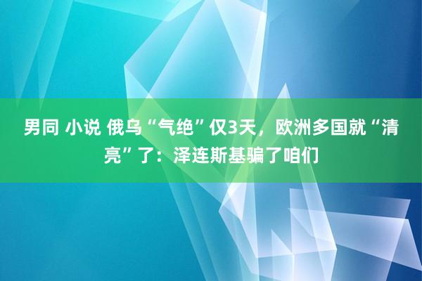 男同 小说 俄乌“气绝”仅3天，欧洲多国就“清亮”了：泽连斯基骗了咱们