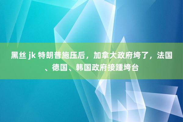 黑丝 jk 特朗普施压后，加拿大政府垮了，法国、德国、韩国政府接踵垮台