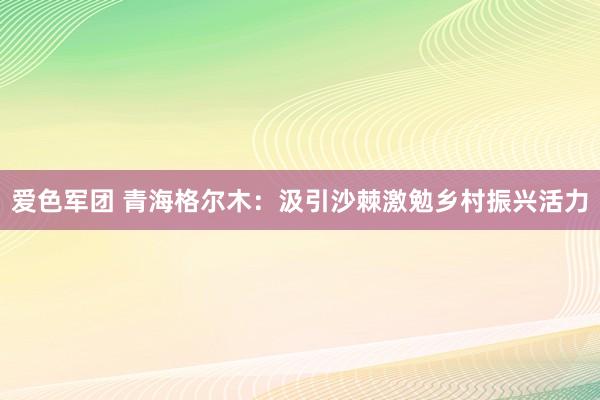 爱色军团 青海格尔木：汲引沙棘激勉乡村振兴活力