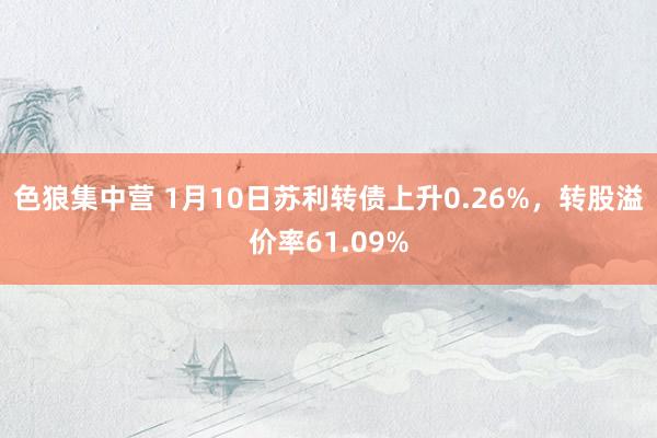 色狼集中营 1月10日苏利转债上升0.26%，转股溢价率61.09%