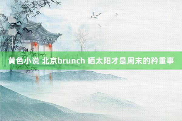 黄色小说 北京brunch 晒太阳才是周末的矜重事