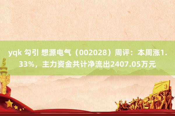 yqk 勾引 想源电气（002028）周评：本周涨1.33%，主力资金共计净流出2407.05万元