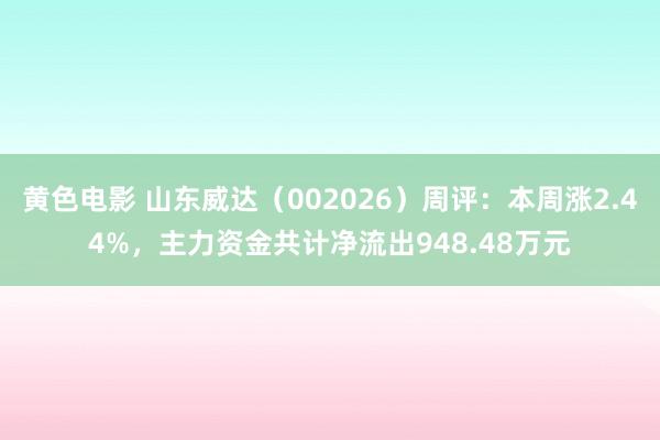 黄色电影 山东威达（002026）周评：本周涨2.44%，主力资金共计净流出948.48万元