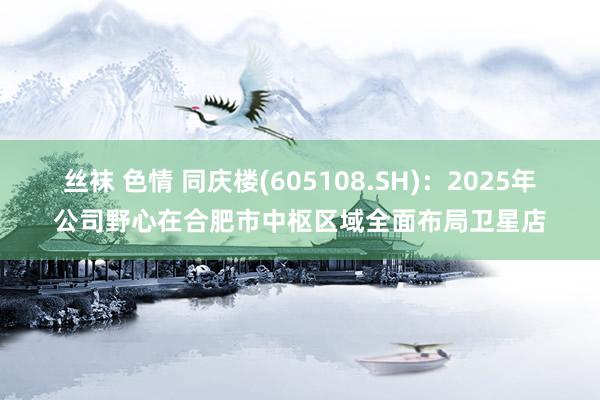 丝袜 色情 同庆楼(605108.SH)：2025年公司野心在合肥市中枢区域全面布局卫星店