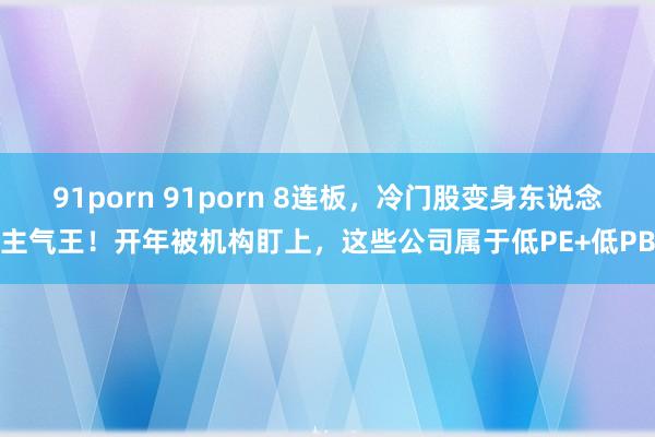 91porn 91porn 8连板，冷门股变身东说念主气王！开年被机构盯上，这些公司属于低PE+低PB