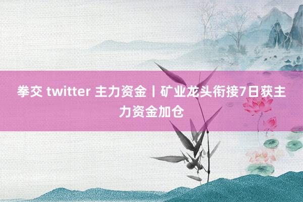 拳交 twitter 主力资金丨矿业龙头衔接7日获主力资金加仓