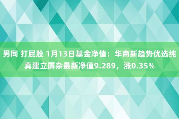 男同 打屁股 1月13日基金净值：华商新趋势优选纯真建立羼杂最新净值9.289，涨0.35%