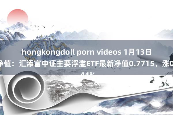 hongkongdoll porn videos 1月13日基金净值：汇添富中证主要浮滥ETF最新净值0.7715，涨0.44%