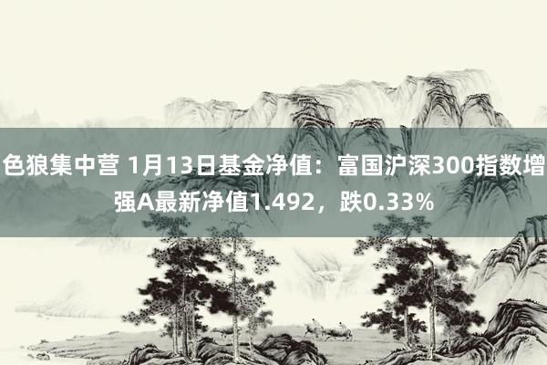 色狼集中营 1月13日基金净值：富国沪深300指数增强A最新净值1.492，跌0.33%