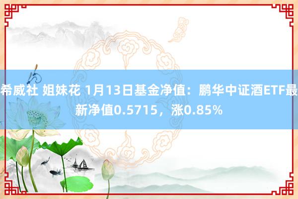 希威社 姐妹花 1月13日基金净值：鹏华中证酒ETF最新净值0.5715，涨0.85%