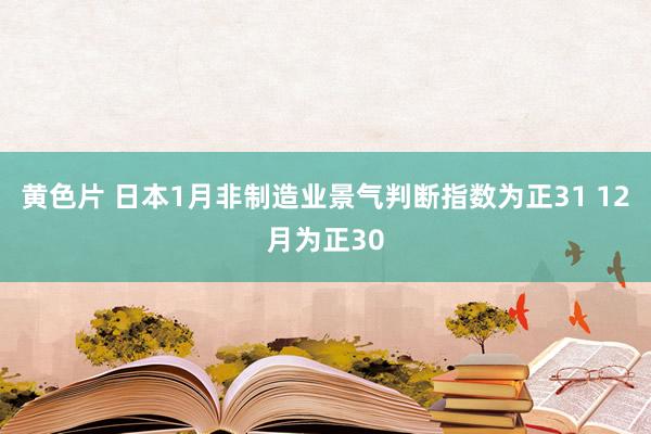 黄色片 日本1月非制造业景气判断指数为正31 12月为正30