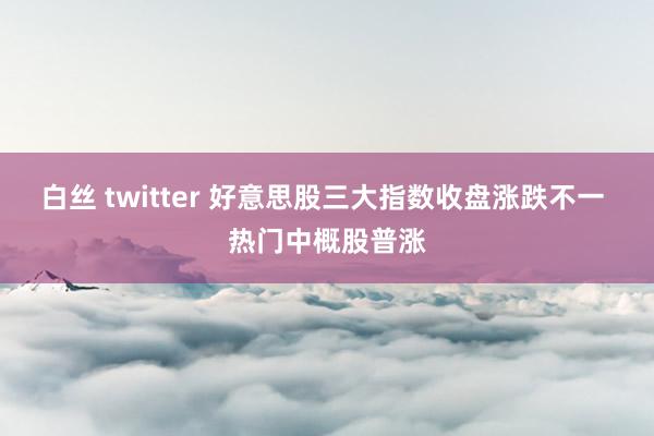 白丝 twitter 好意思股三大指数收盘涨跌不一 热门中概股普涨