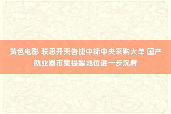 黄色电影 联思开天告捷中标中央采购大单 国产就业器市集提醒地位进一步沉着