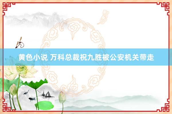 黄色小说 万科总裁祝九胜被公安机关带走