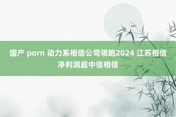 国产 porn 动力系相信公司领跑2024 江苏相信净利润超中信相信